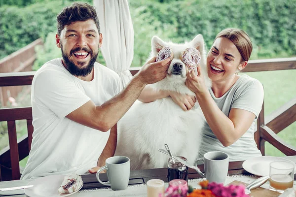 Fröhliche Eheleute, die ihrem Hund Krapfen vor die Augen setzen. — Stockfoto