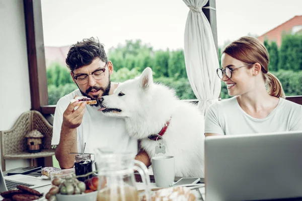 Snäll man som ger en smörgås till en hund — Stockfoto