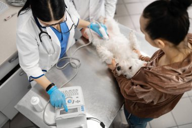 X-Ray incelemesi sırasında veterinerler ve sahibi köpek tutan