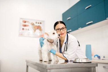 Muayeneden sonra sevimli beyaz köpek sarılma Neşeli veteriner