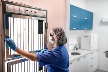 Özel kutudan köpek alarak maske takan veteriner