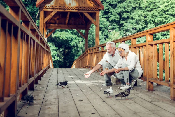 Šťastný starý bělovlasý pár krmí holuby na mostě — Stock fotografie