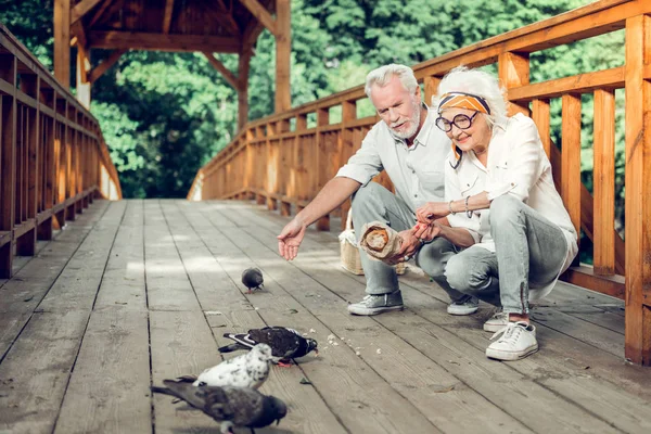 Zápasí manželé, kteří dávají drobky holubům na můstku — Stock fotografie