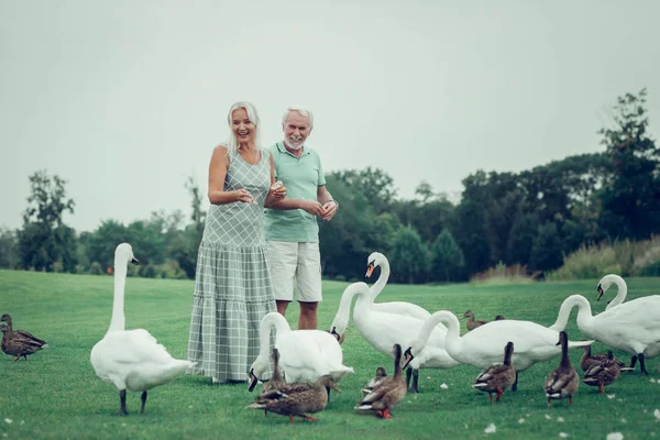 Ευτυχισμένο ωραίο ηλικιωμένο ζευγάρι ταΐζοντας τα πουλιά μαζί — Φωτογραφία Αρχείου