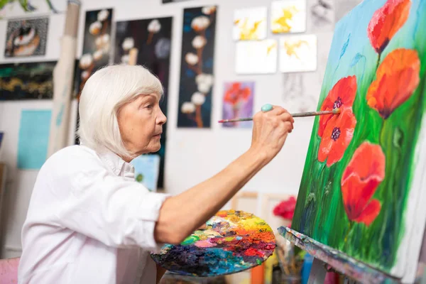 灰色の髪の引退したアーティストは、グアッシュで赤いポピーを描きます — ストック写真
