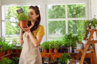 Çiçekçi bir bitki tutan ve koklayan.