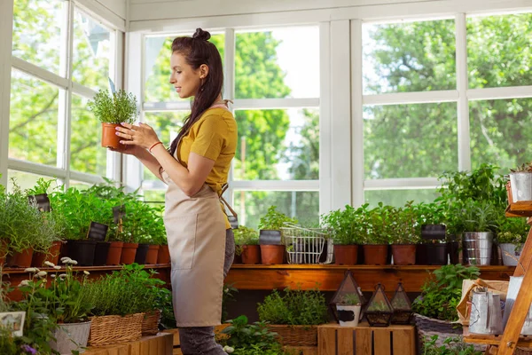 Beautiful florist taking care of a plant. — Stock Photo, Image