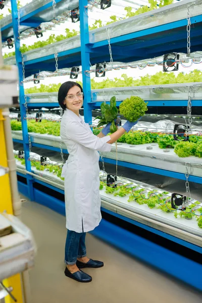 Agronomiste portant un jean et un manteau blanc debout dans une serre — Photo