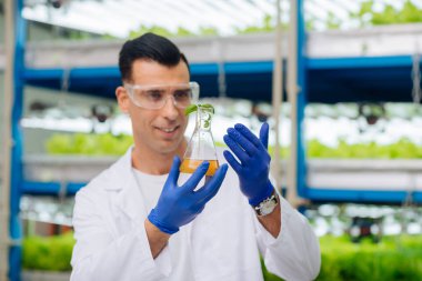 Bitki ile cam tüp tutan koyu saçlı erkek agronomist