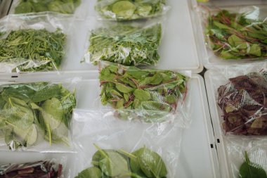 Masanın üzerinde plastik torbalar içinde yatan güzel yeşillik çeşitleri