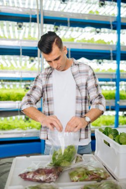 Koyu saçlı çiftçi plastik torbaya yeşillik ambalaj