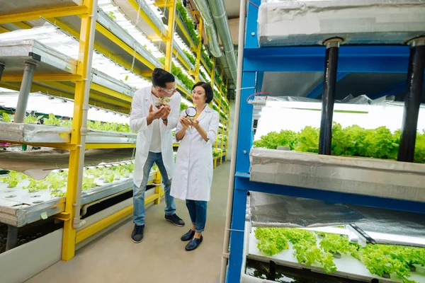 Homme et femme marchant en serre tout en discutant de légumes verts — Photo