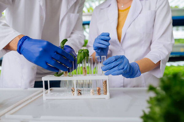 Professional agronomists studying different seeds in laboratory