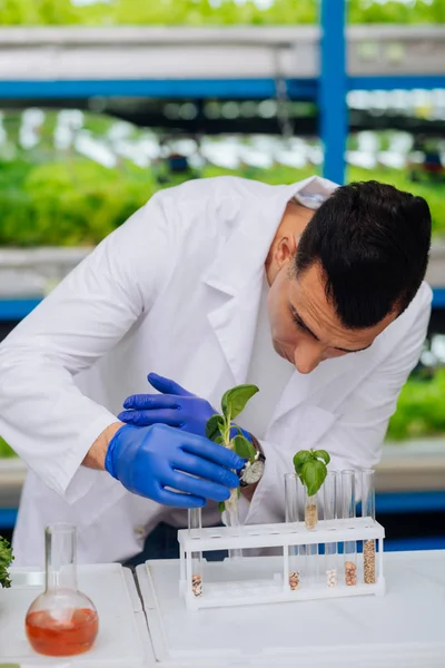 Agronomist wearing white coat standing near table and working