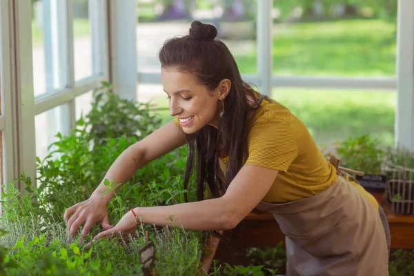 Lächelnder Verkäufer eines Blumenladens, der in Pflanzen gräbt. — Stockfoto