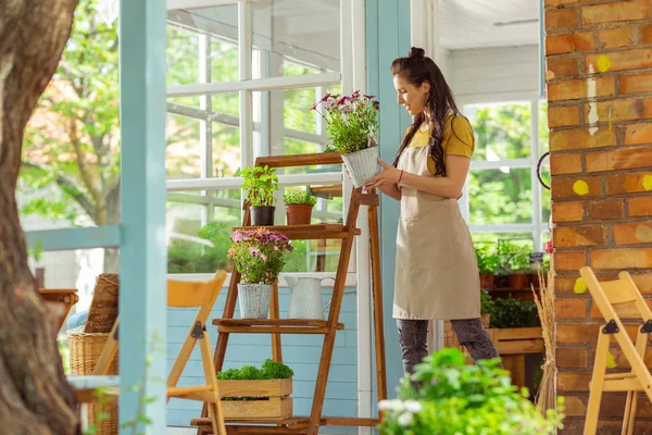 Bloemist die planten op planken in de voorkant van haar winkel weergeeft. — Stockfoto