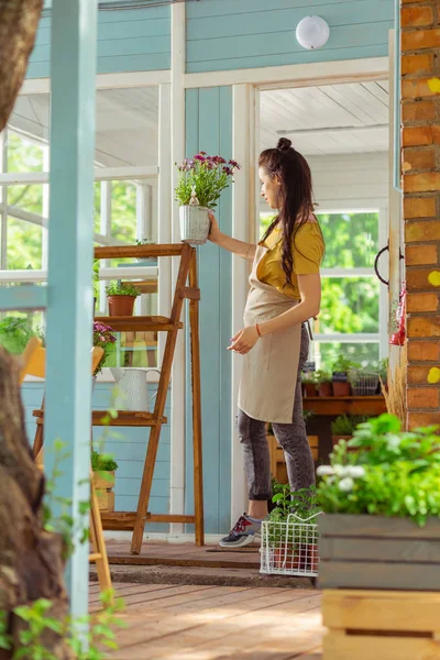 Blumenhändler stellt Blumentopf auf einen Regalständer. — Stockfoto