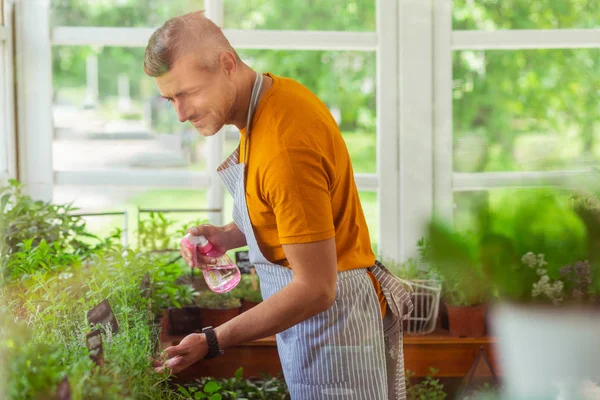 Feliz florista cuidando plantas en su tienda . — Foto de Stock