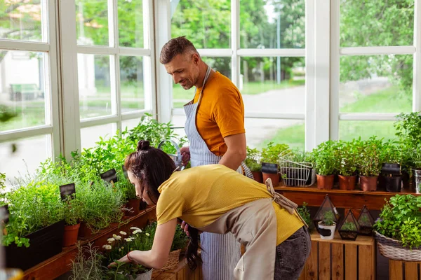 Ehepaar kümmert sich in seinem Geschäft um Pflanzen. — Stockfoto