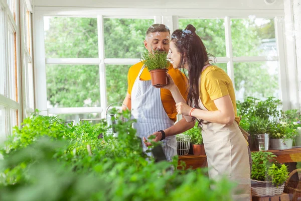 Floristas sonrientes oliendo plantas juntas en el trabajo . — Foto de Stock