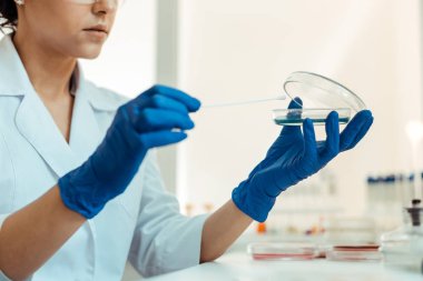 Petri kabında bulunan bir test örneğinin seçici odağı