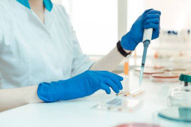 Laboratuvar çalışanlarının ellerinde bir pipetin seçici odağı