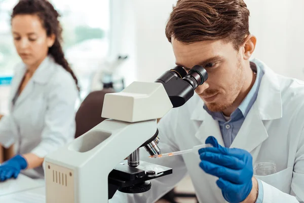 Pleasant bearded man studying a sample under the microscope