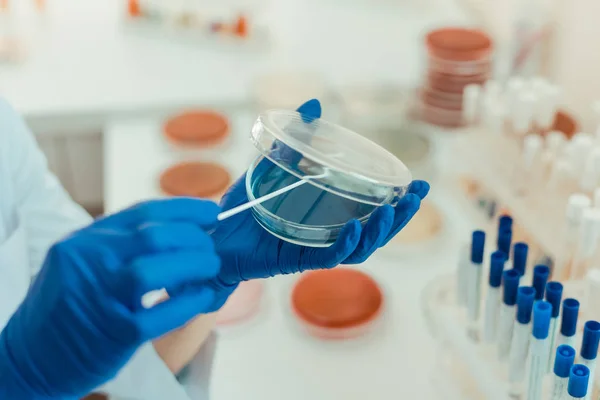 Selective focus of a transparent petri dish — Stock Photo, Image