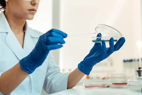 Selective focus of a test sample being in petri dish — Stock Photo, Image