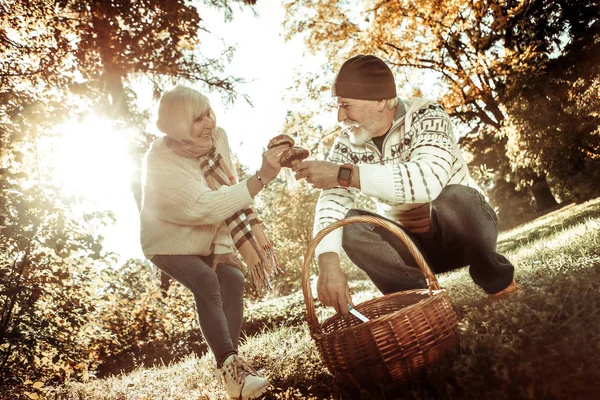 Casal pegando cogumelos e dando-os um ao outro . — Fotografia de Stock