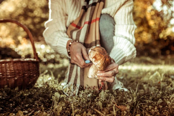 Grote paddestoel in een hand van een vrouw. — Stockfoto