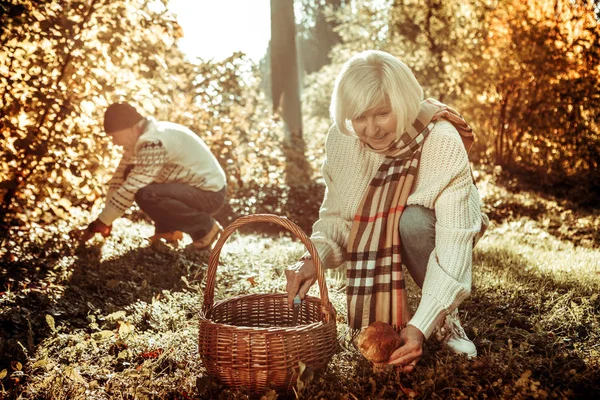 Zamyšlená stará žena a její manžel sbírají houby. — Stock fotografie