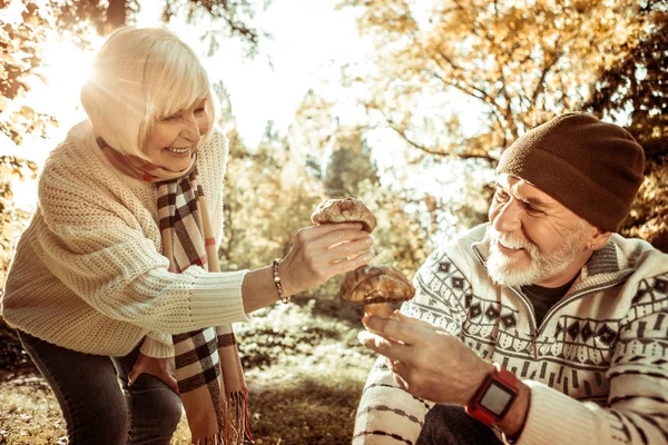 Esposo y esposa encontrando grandes hongos en el bosque . — Foto de Stock