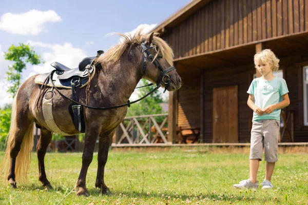 Fiú érzés izgatott, miközben jön közelebb a ló — Stock Fotó