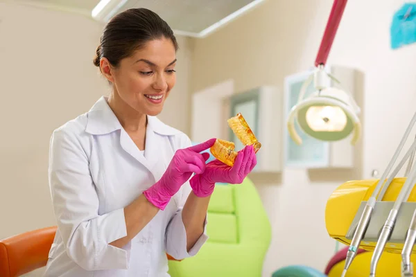 Женщина-врач смотрит на модель искусственных зубов — стоковое фото