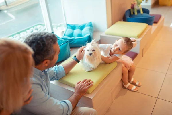 白いふわふわの犬と触れて遊ぶ小さな女の子 — ストック写真