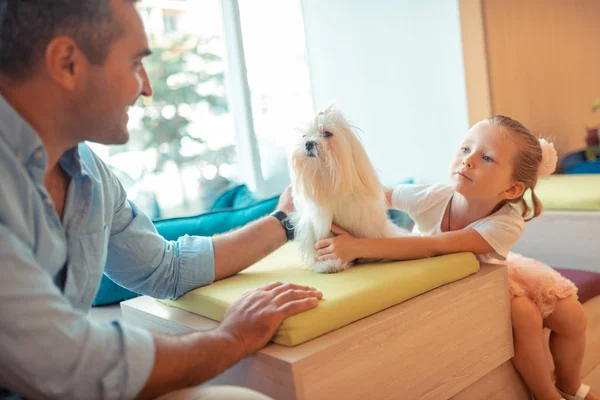 Tochter spricht mit Papa und berührt ihren weißen flauschigen Hund — Stockfoto