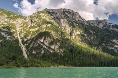 Göl yakınında Alpler Dağı ile pastoral manzara