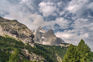 Orman ve kayalık dağ ile manzara Alpleri