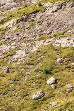 Kayalık dağın üzerinde yeşil yosun ile manzara manzara