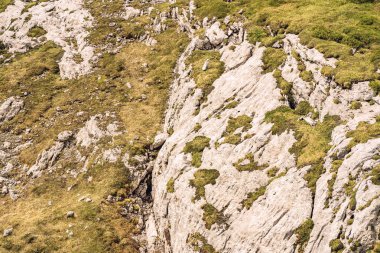 Kayalık dağ yosun ile manzara Alps