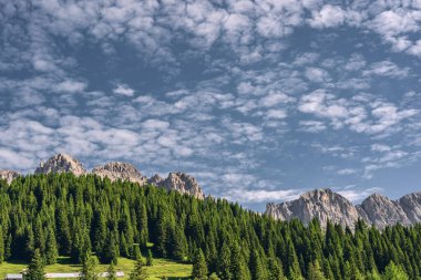 Dağ yakınında yeşil orman ile manzara manzara