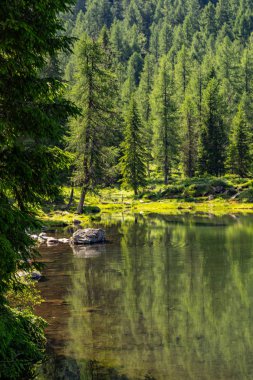 Yeşil orman ve göl ile güzel Alpleri