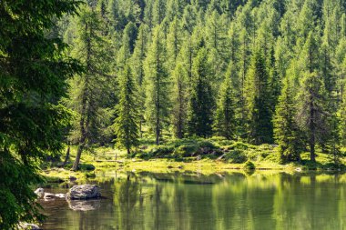Yeşil orman ve göl ile manzara Alpleri