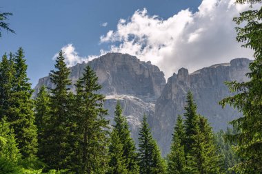 Yüksek kayalık dağ ve yeşil orman ile manzara Alpleri