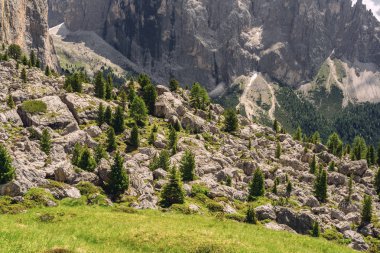 Kayalık dağ ve yeşil ağaç ile manzara manzara