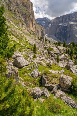 Kayalık dağ ve yeşil ağaç ile manzara Alpleri