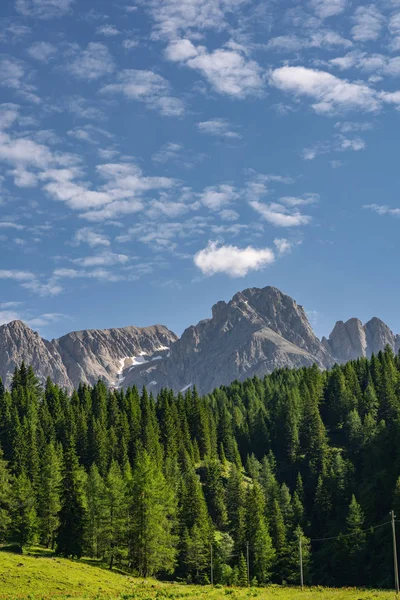 Schöne Landschaft mit grünem Wald in der Nähe von Bergen — Stockfoto