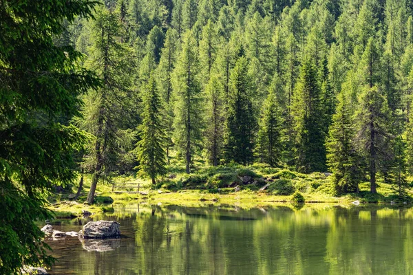 Yeşil orman ve göl ile manzara Alpleri
