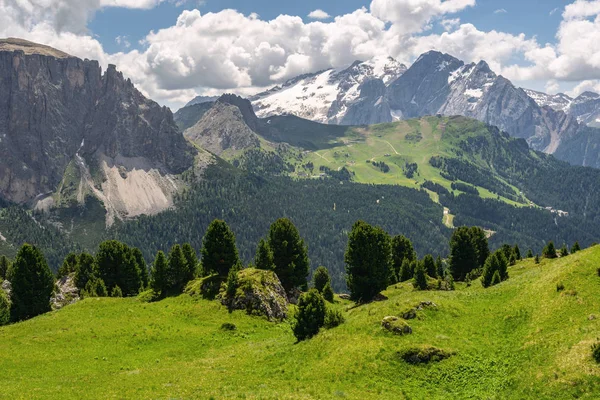 Schöne Natur mit felsigem Berg und grünem Baum — Stockfoto